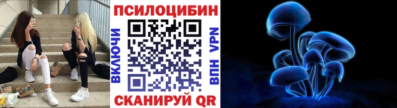 Псилоцибиновые грибы мухоморы  Купить где  Медвежьегорск 