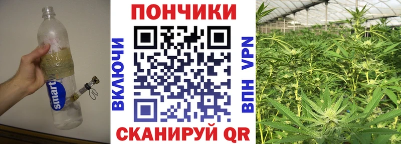 Купить  Медвежьегорск  Конопля LSD WEED 